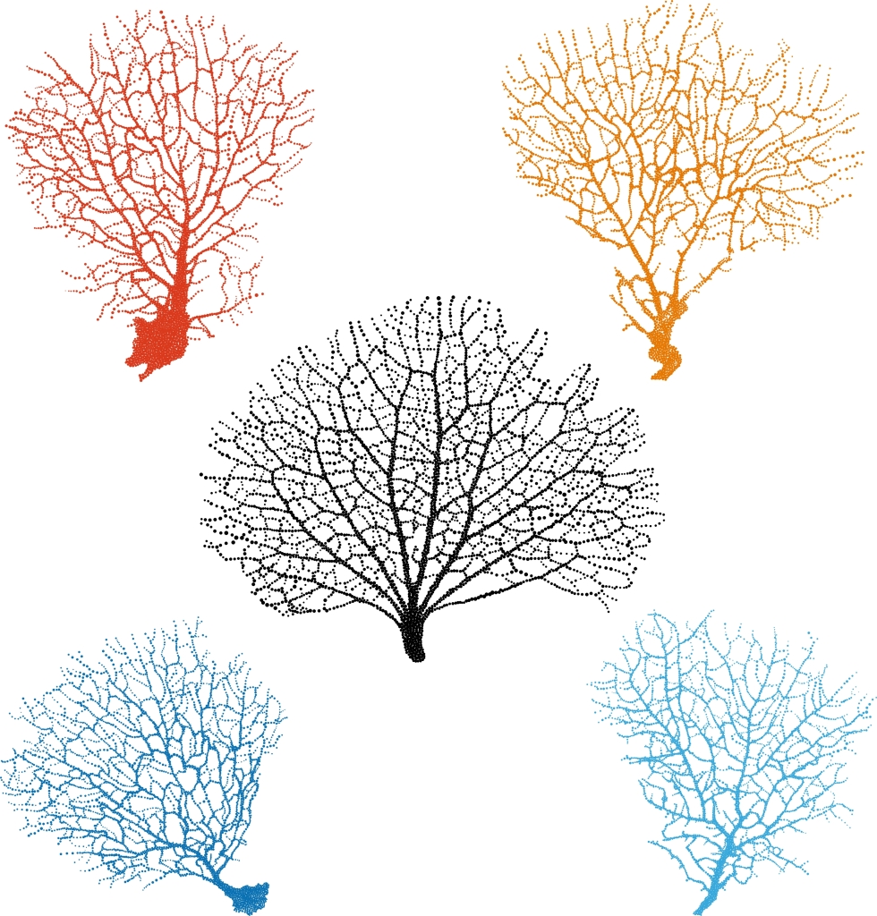 vectorstock_1361503