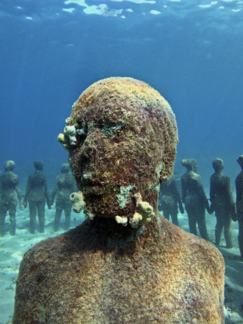 Reefs are grownup shipwrecks